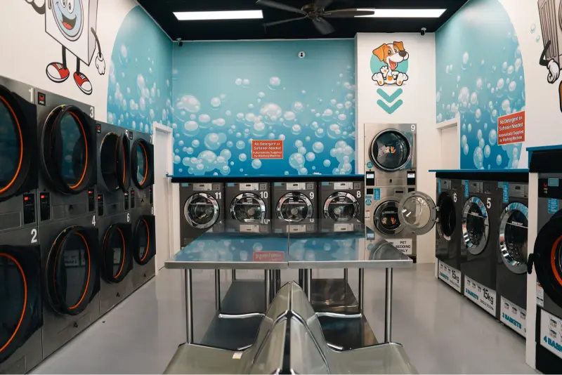 Spinwash interior Erina